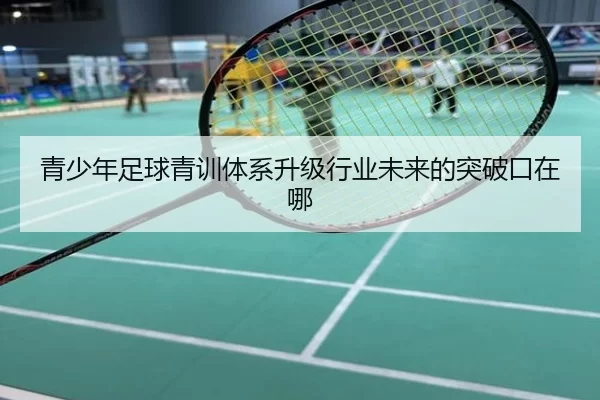 img_1780587133266_229_2_768.jpg