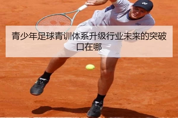 青少年足球青训体系升级行业未来的突破口在哪