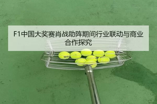 F1中国大奖赛肖战助阵期间行业联动与商业合作探究